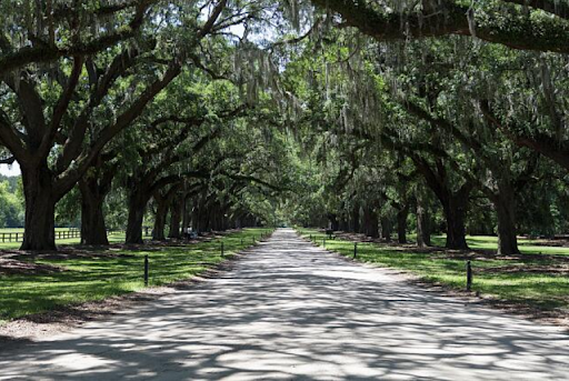 Six Mile to Phillips: Historic and New Communities in Mount Pleasant, South Carolina