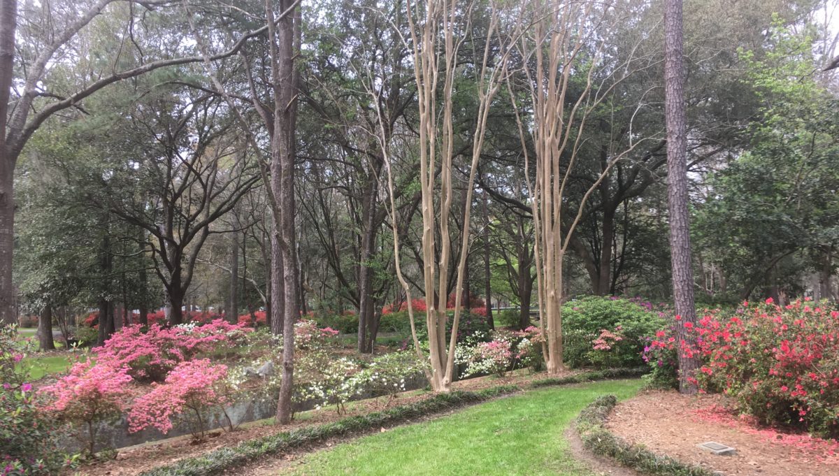 Flowertown in the Pines: Exploring Summerville’s Parks