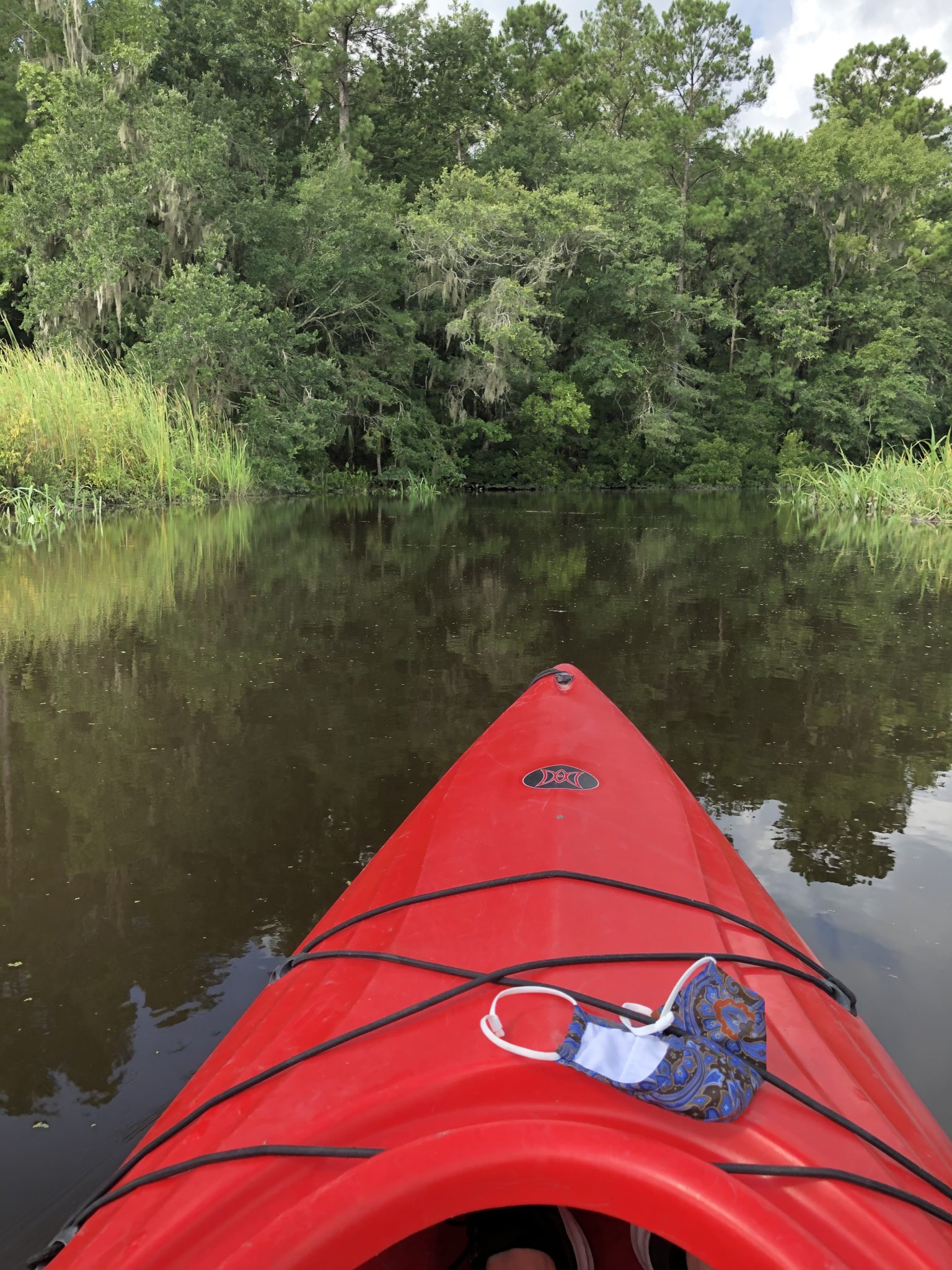 Soaking Up Summer Water Sports in the Lowcountry Charleston SC