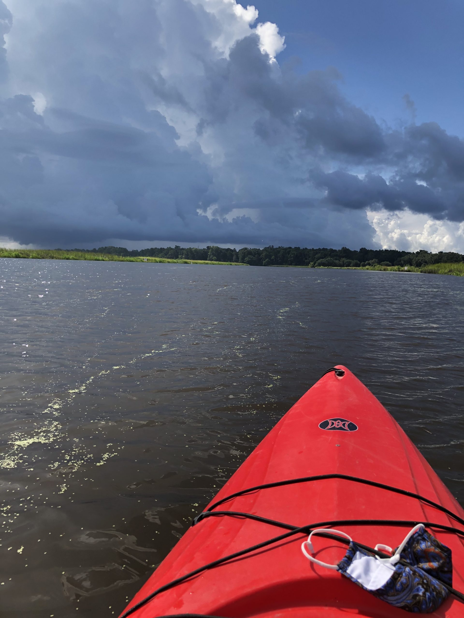 Soaking Up Summer: Water Sports in the Lowcountry